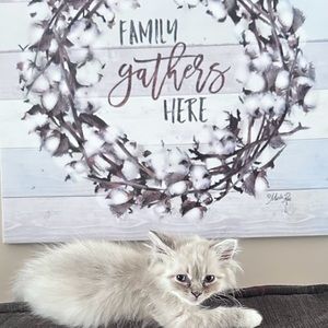 Meet your Posher, Lynn